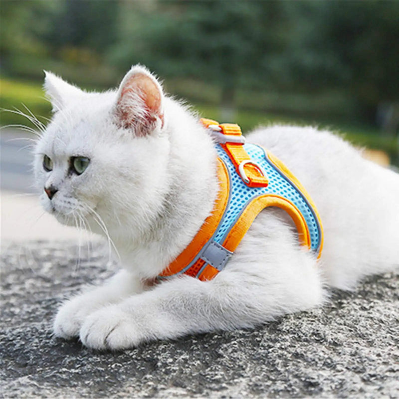 Reflektierendes Geschirr- und Leinen-Set für Katzen