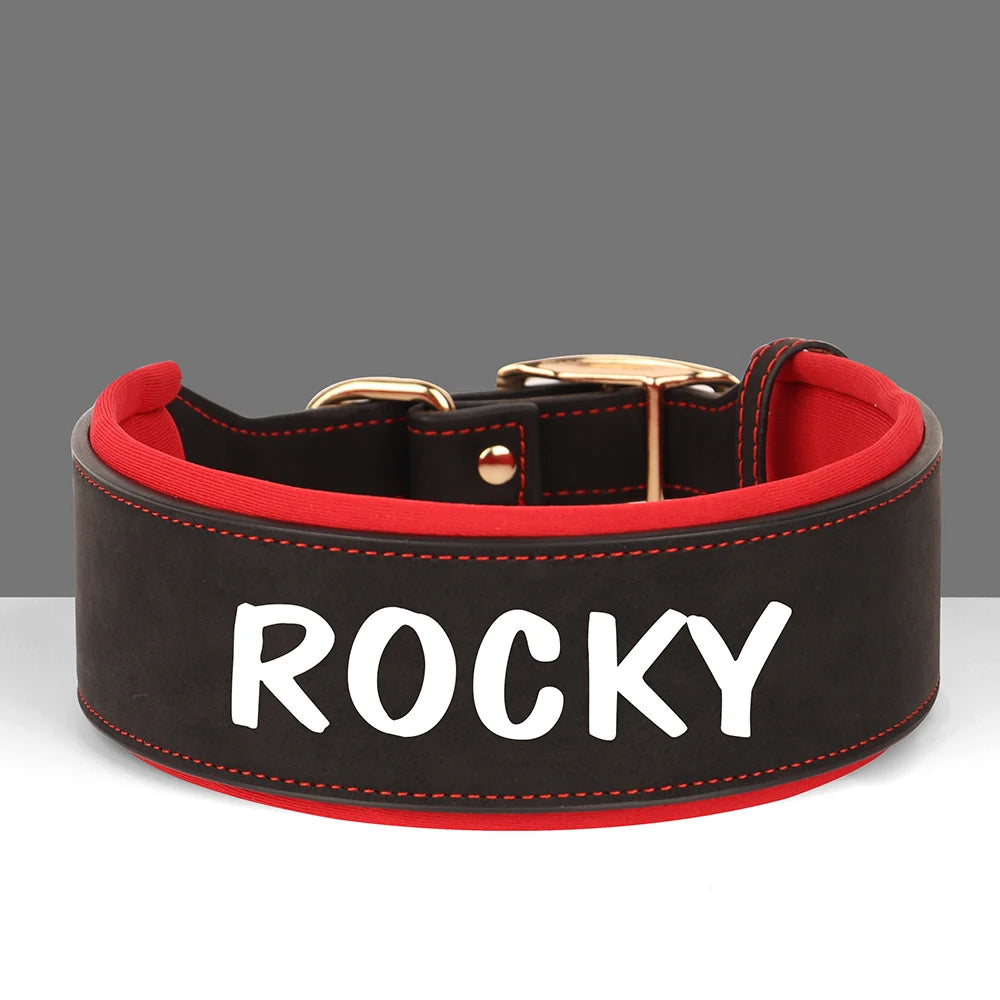 Black leather dog collar with red lining and a white name tag spelling out ROCKY