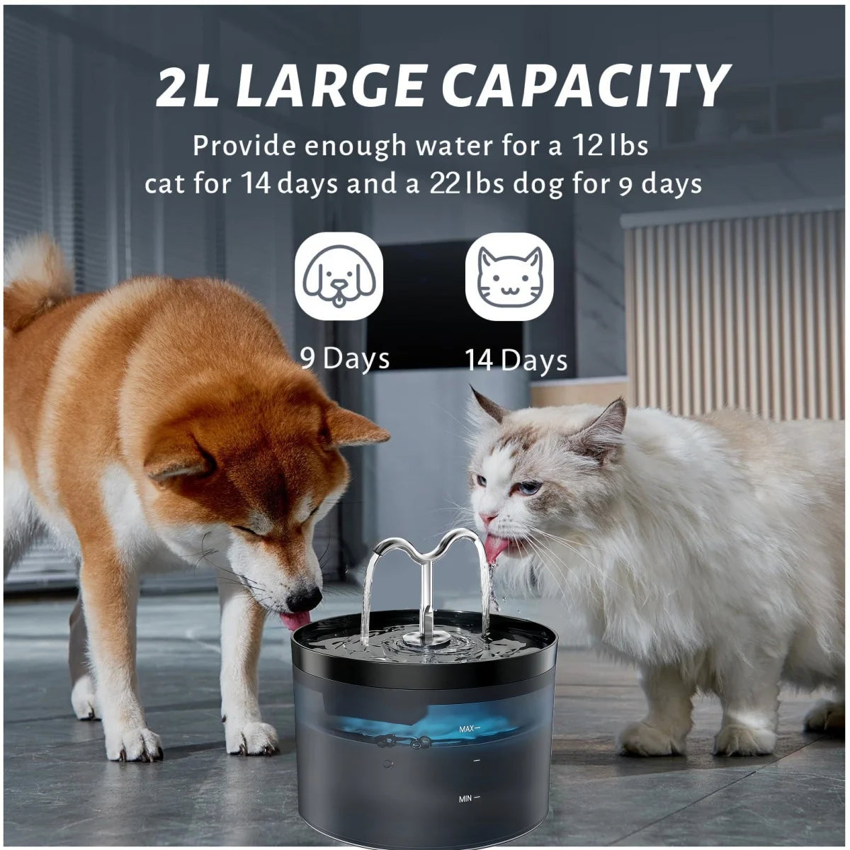 A black automatic pet water fountain is shown with a dog and a cat nearby, demonstrating its 2L large capacity.