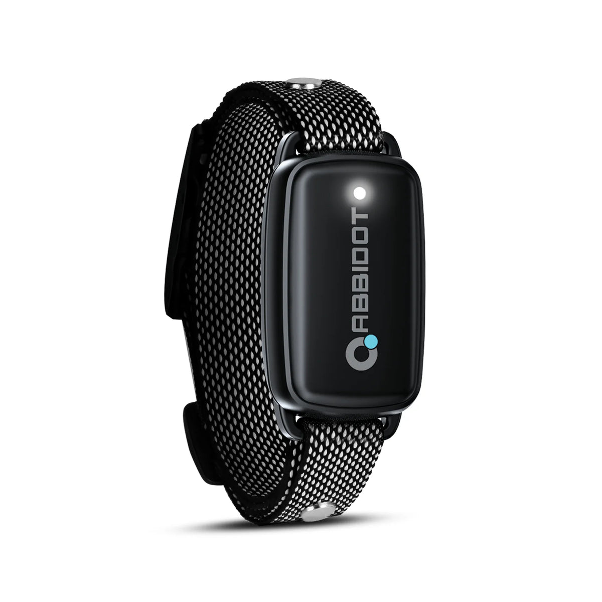 A black dog training collar replacement strap with a rectangular sensor visible on the side.