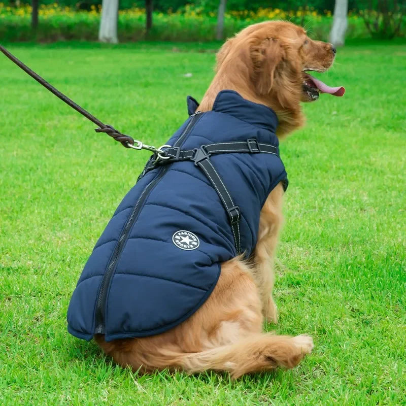 Impermeable para Perro con Arnés Integrado