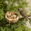 Natural Bird Nesting Material Fiber Blend for Canaries, Finches & Parrots