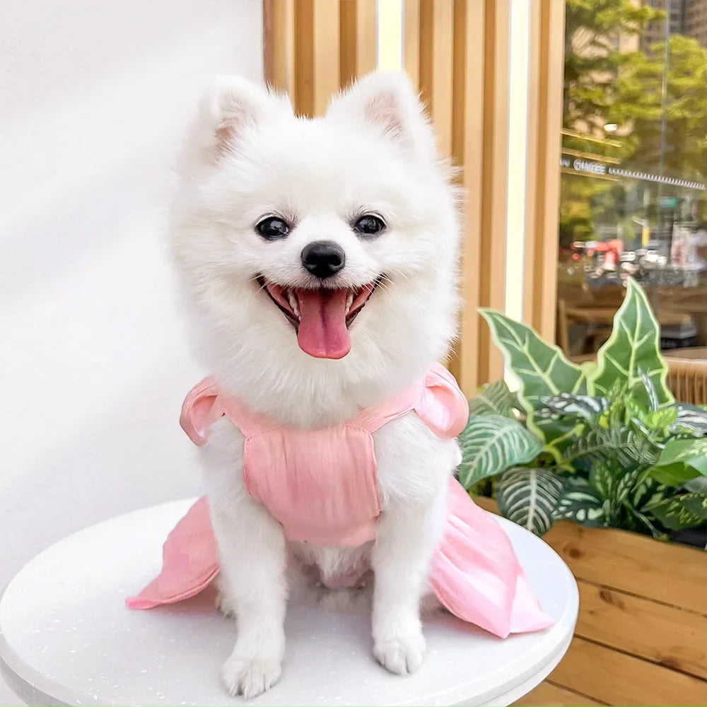Ein flauschiger weißer Hund in einem pinken Pet-Kleid, sitzend auf einer weißen Oberfläche.
