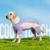 Pet Cooling Full-Body Suit for Summer Heat Relief