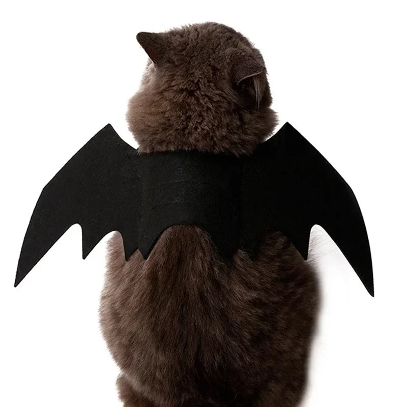 Un chat brun portant un costume de battements d'ailes de chauve-souris noires.