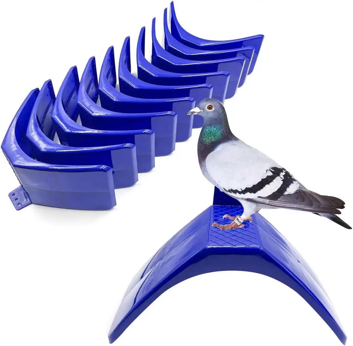 Support en plastique bleu avec plusieurs logements incurvés pour oiseaux.