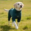 Cozy High-Collar Dog Pajamas – Four-Legged Sleepwear for Large Breeds