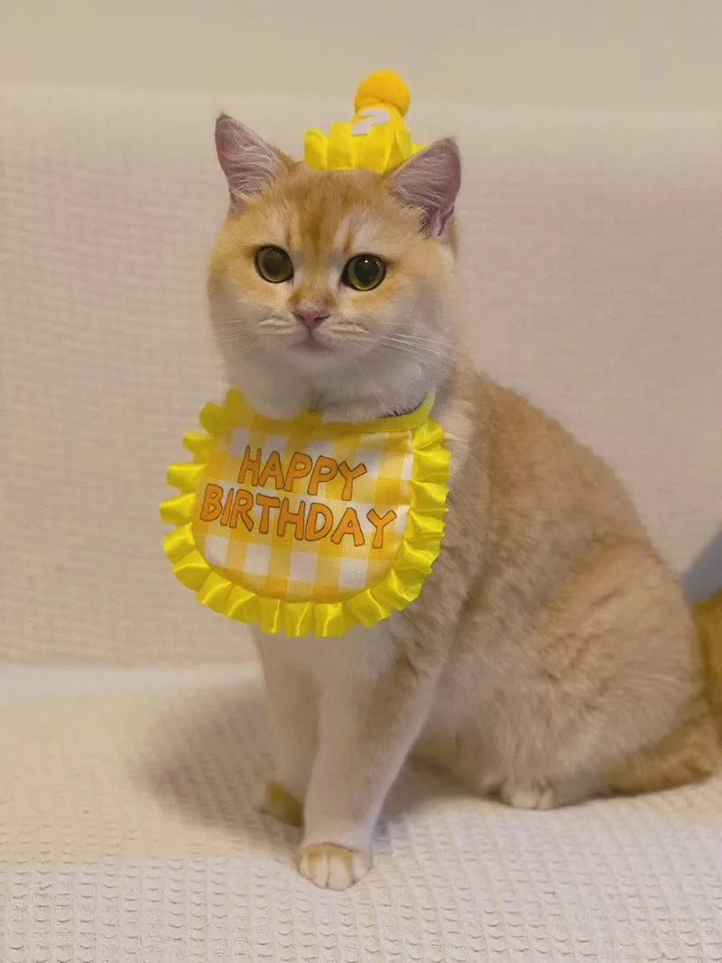 Happy Birthday Pet Party Hat and Bib Set