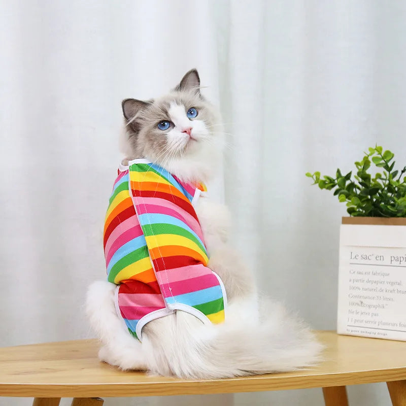 Cat Recovery Vest – Soft Anti-Licking Protector for Post-Surgery Care