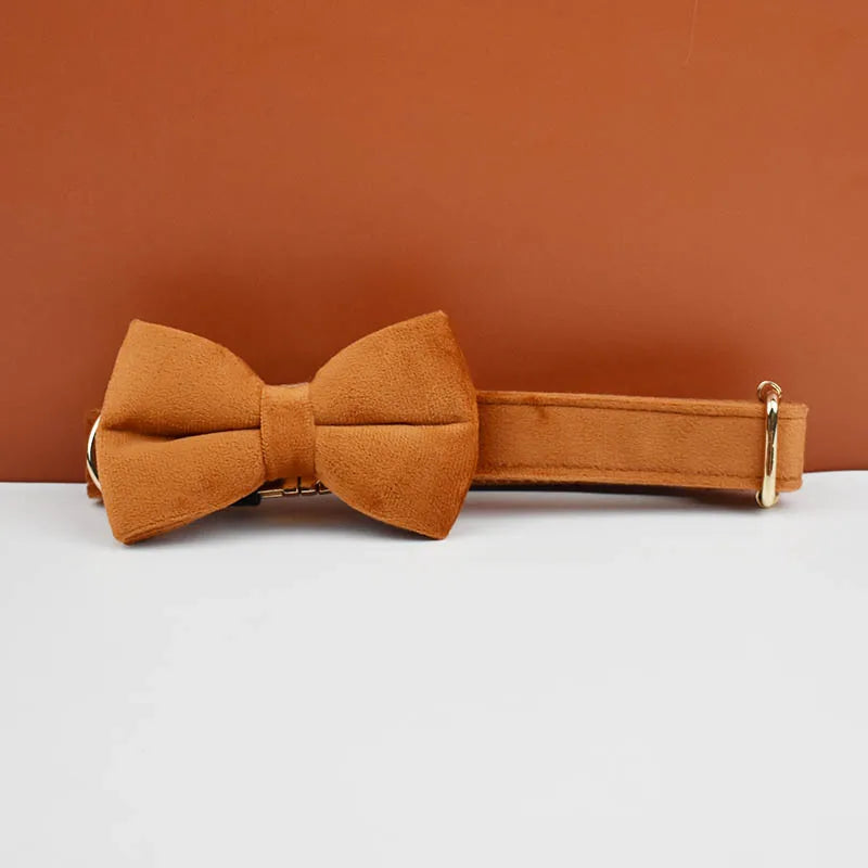 Personalisiertes Halsband, Geschirr & Leine Set mit abnehmbarem Fliegenknoten