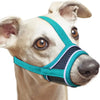 A light-colored dog wearing a teal and black breathable adjustable muzzle for safe walks.