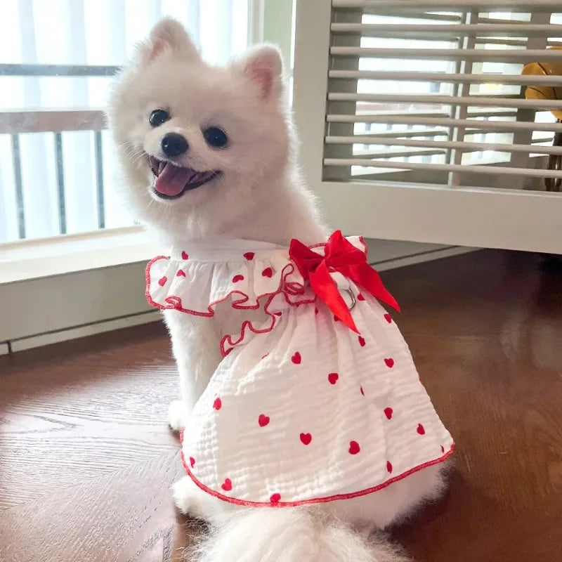 A fluffy white dog wearing an elegant summer pet dress with red trim and heart patterns.