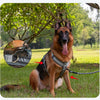 A brown German Shepherd wearing a dark harness is sitting in green grass with a leash extending to the right.