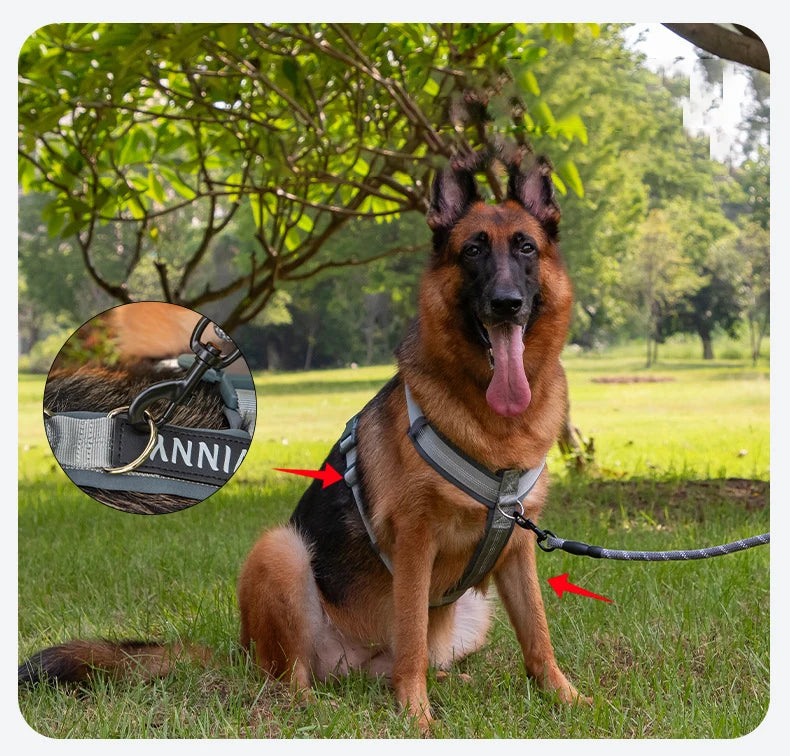 A brown German Shepherd wearing a dark harness is sitting in green grass with a leash extending to the right.