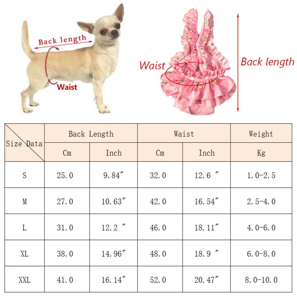 Cute Printed Reusable Dog Diaper Pants for Small Breeds