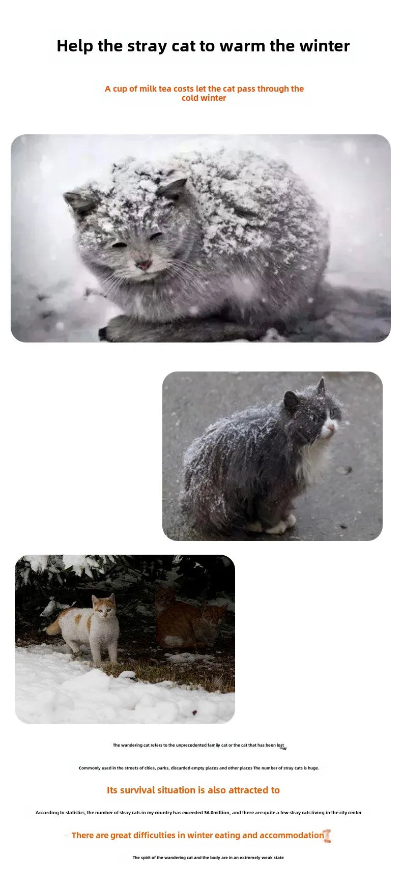 Waterproof Pet Cave Bed for Small Dogs Foldable Outdoor Warm