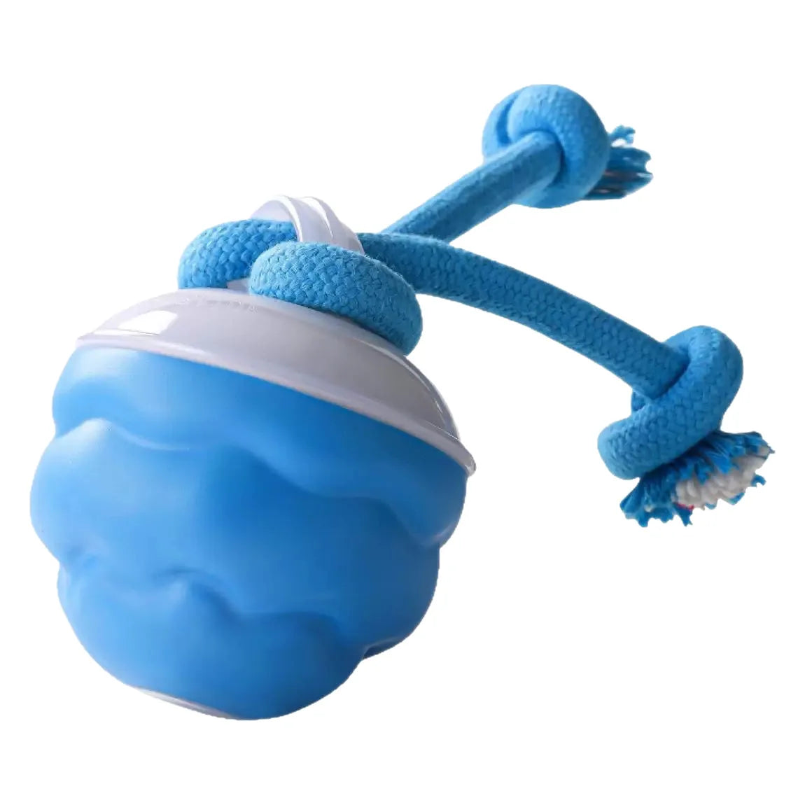 A blue interactive rolling dog ball with ropes and a white top, shown against a white background.