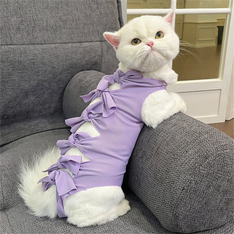 A white cat wearing a purple striped adjustable post-operative recovery vest while sitting on a gray sofa.