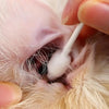 Pet Ear Cleaning Cotton Swabs for Cats and Dogs