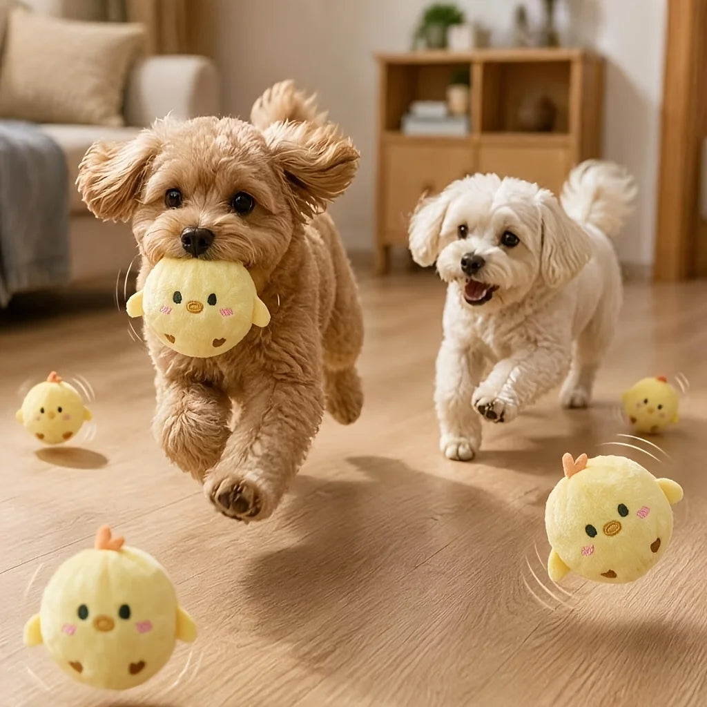 Interactive Squeaky Bouncing Chick Ball for Dogs & Cats
