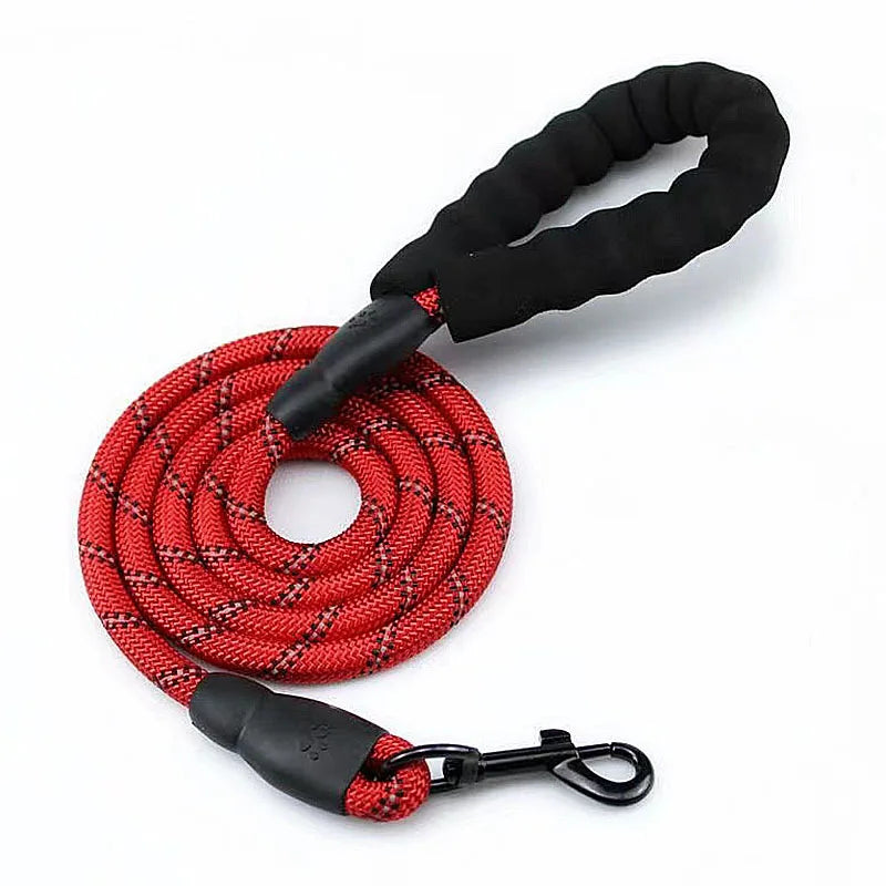 A red reflective dog leash with a padded black handle and a metal clip.