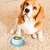 An adorable beagle puppy looks at the camera while sitting on a beige rug next to an interactive licking mat.