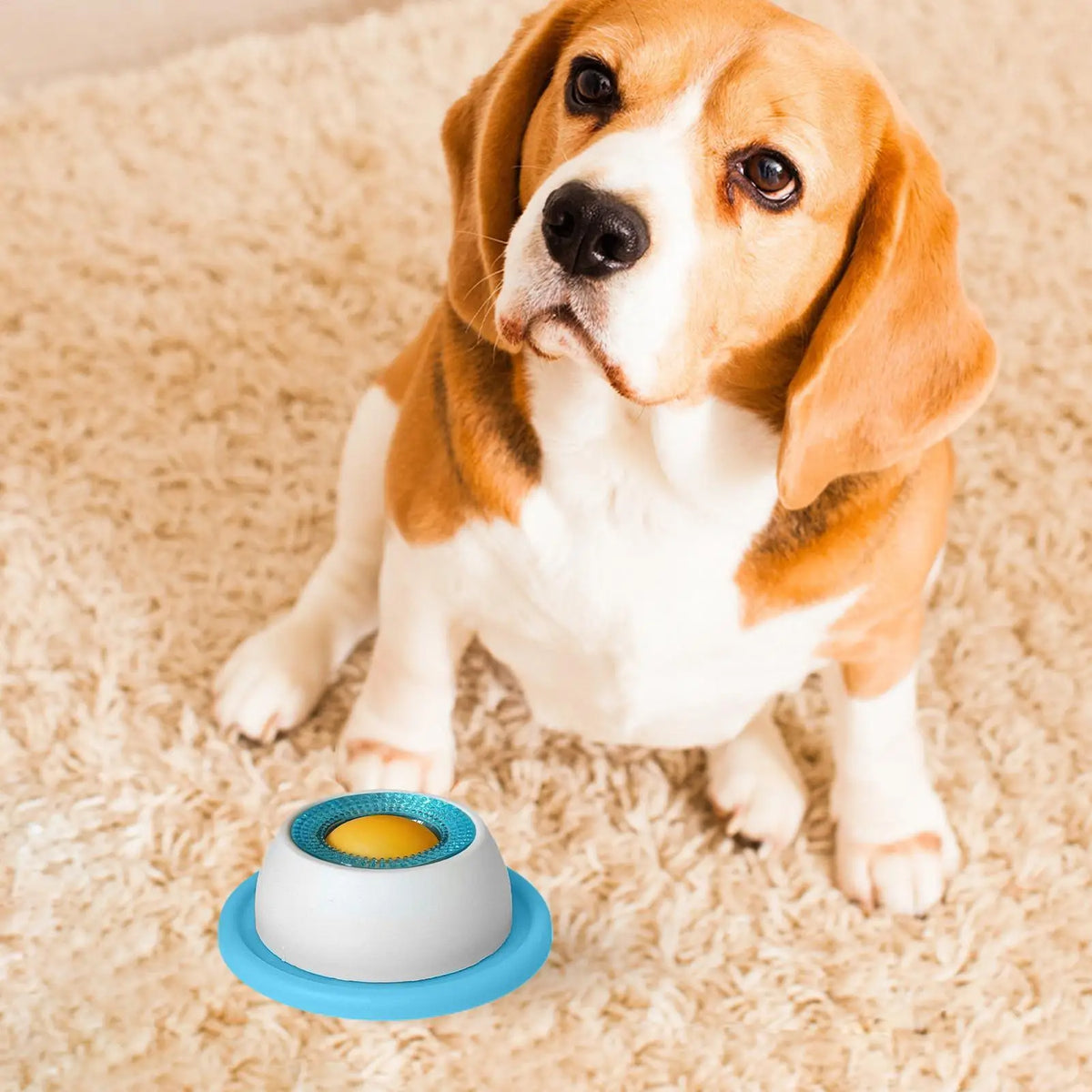 An adorable beagle puppy looks at the camera while sitting on a beige rug next to an interactive licking mat.