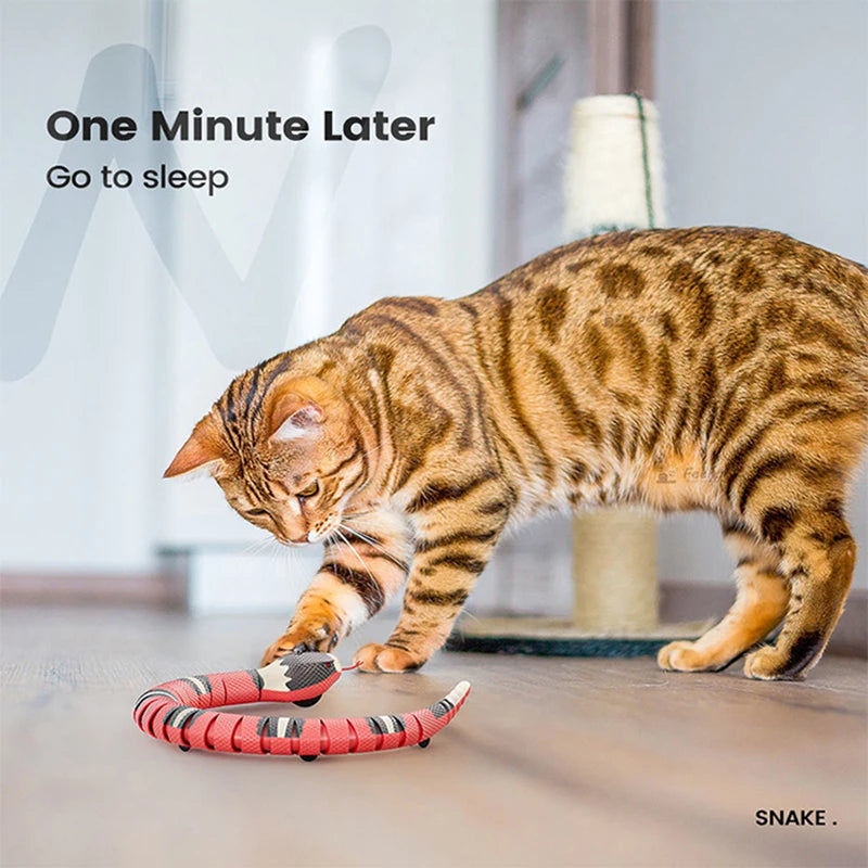 Jouet Serpent Interactif Rechargeable par USB pour Chat