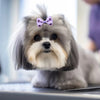 Handmade Dog Bows with Rubber Bands - Polka Dot & Solid Styles