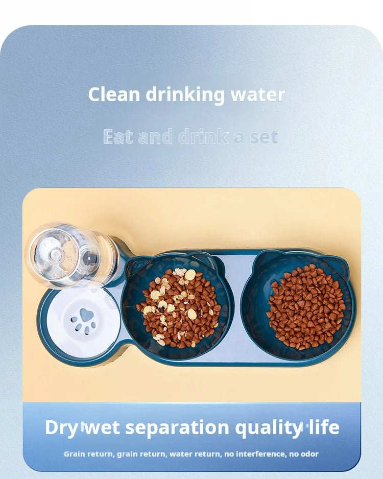 Bol d'alimentation incliné ergonomique pour chat avec distributeur d'eau par gravité