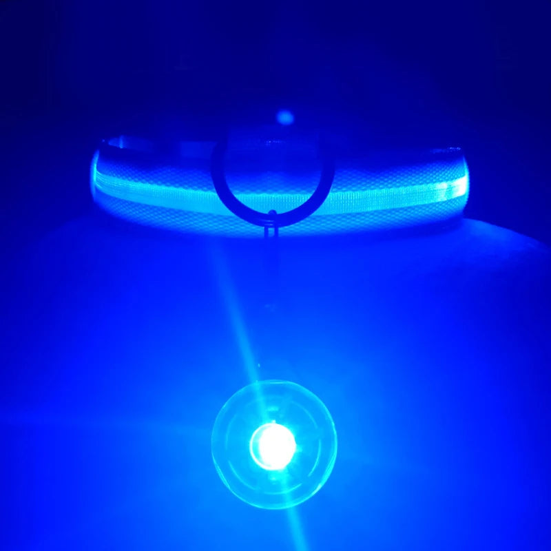 USB Charging Glowing Dog Collar with Pendant