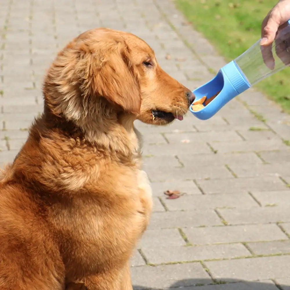 2-in-1 Portable Dog Water Bottle with Food Container