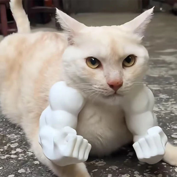 A white cat is posing with a 3D printed cat muscle arm accessory.