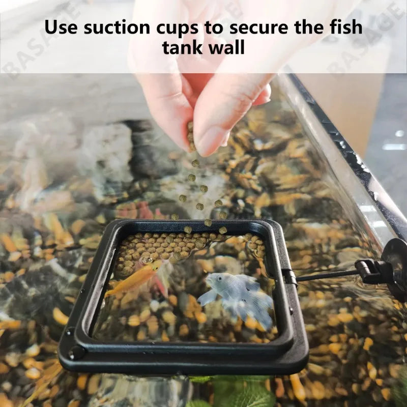 Anillo Flotante para Alimentar Acuarios
