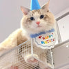 Conjunto de Bufanda y Sombrero para Fiesta de Cumpleaños de Mascota