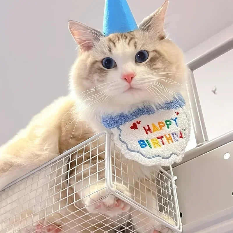 Conjunto de Bufanda y Sombrero para Fiesta de Cumpleaños de Mascota