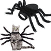 Halloween Spider Costume for Small Dogs and Cats