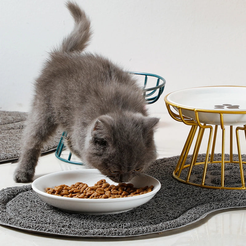 Whisker-Friendly Cat Bowl with Stand - Ceramic Anti-Tip