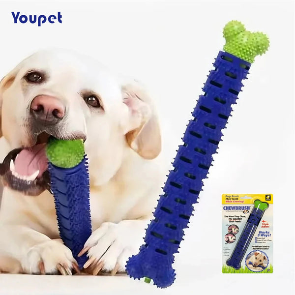 A white dog is holding a blue dental chew bone with rubber cleaning bristles.