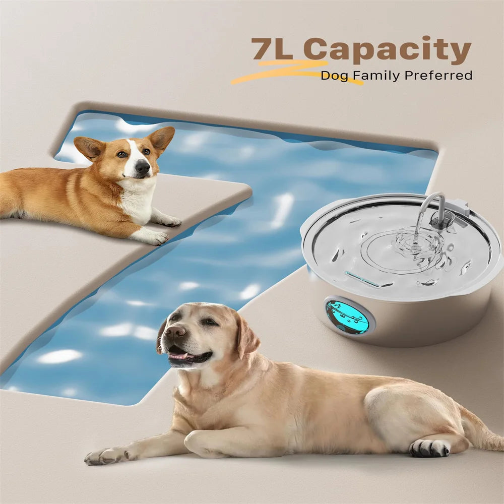 Ultra-Quiet 7L Stainless Steel Pet Water Fountain for Large Dogs & Cats