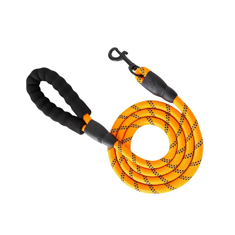 Orange reflective dog leash with a padded black handle coiled for storage