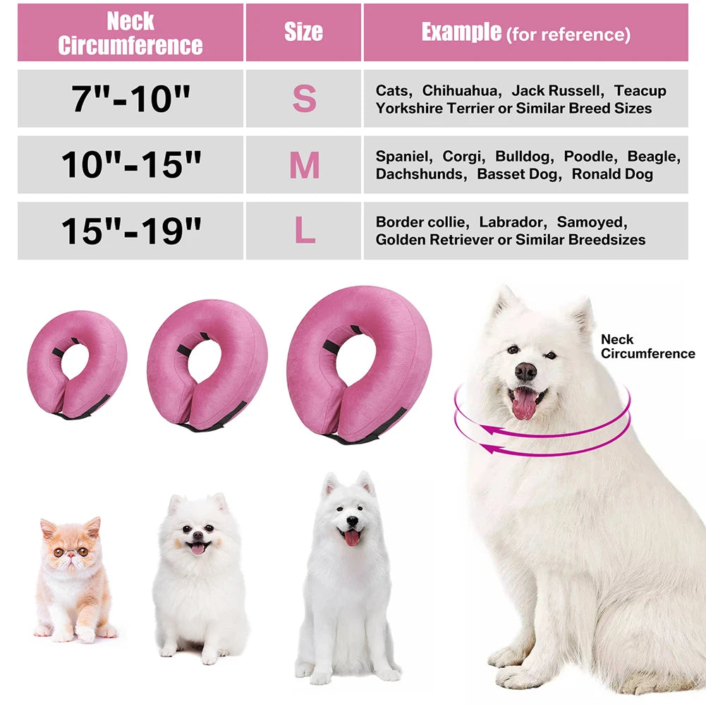 Inflatable Recovery Collar for Dogs and Cats