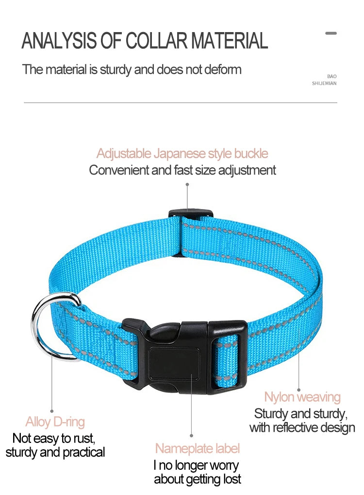 Decorative Nylon Dog Collar with Buckle Closure