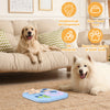 Interactive Dog Puzzle Toy with Non-Slip Base for Mental Stimulation and Slow Feeding