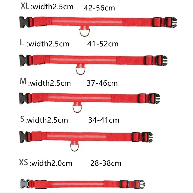 USB-aufladbarer LED-Hundehalsband für Nachtsicherheit