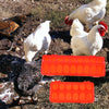 Comedero para Aves con Diseño de Concha y Agujeros en Doble Fila