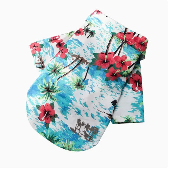 Chemise blanche à imprimé tropical bleu vif avec des fleurs d'hibiscus rouges et des feuilles de palmier vertes.