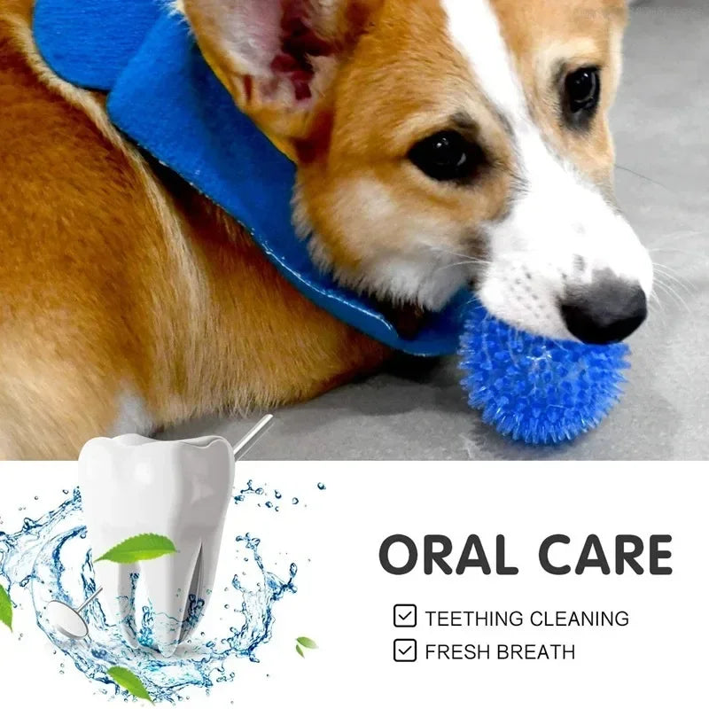 Pelota de Juguete para Perro de TPR con Sonido