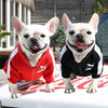 Chaqueta de Béisbol para Perros
