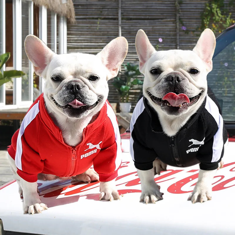 Chaqueta de Béisbol para Perros